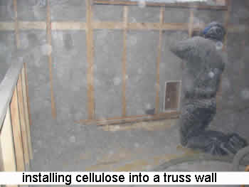cellulose into wall